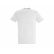 Tee-shirt homme coton col rond Sol’s | ProtecNord